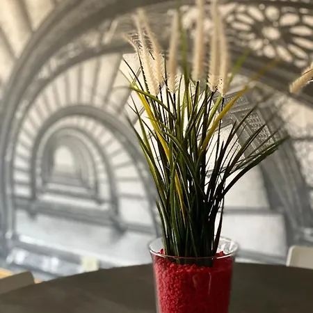 Mandi Mandi Al Centro