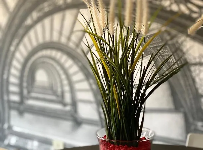 Mandi Mandi Al Centro